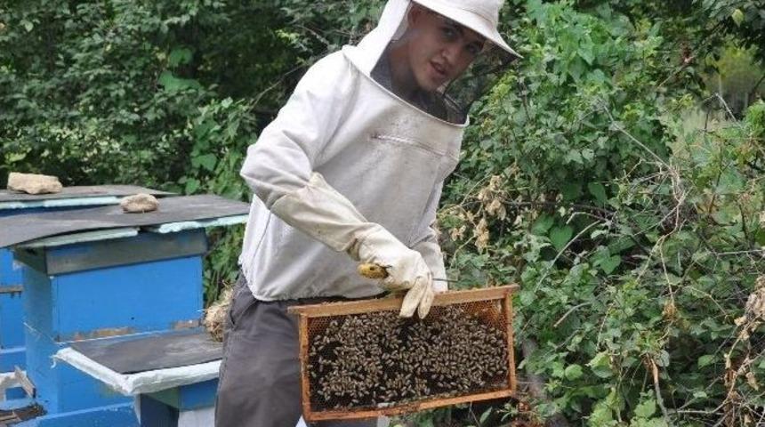 İnternetten Araştırarak Bal Üretimine Başlayan 17 Yaşındaki Genç Bir Milyon Arıya Bakıyor