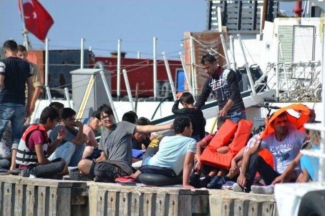 Ayvalık’ta Son 2 Günde 236 Kaçak Göçmen Yakalandı