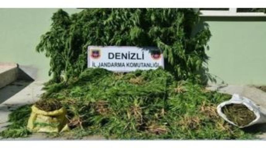 Denizli’de Uyuşturucu Operasyonunda 2 Tutuklama
