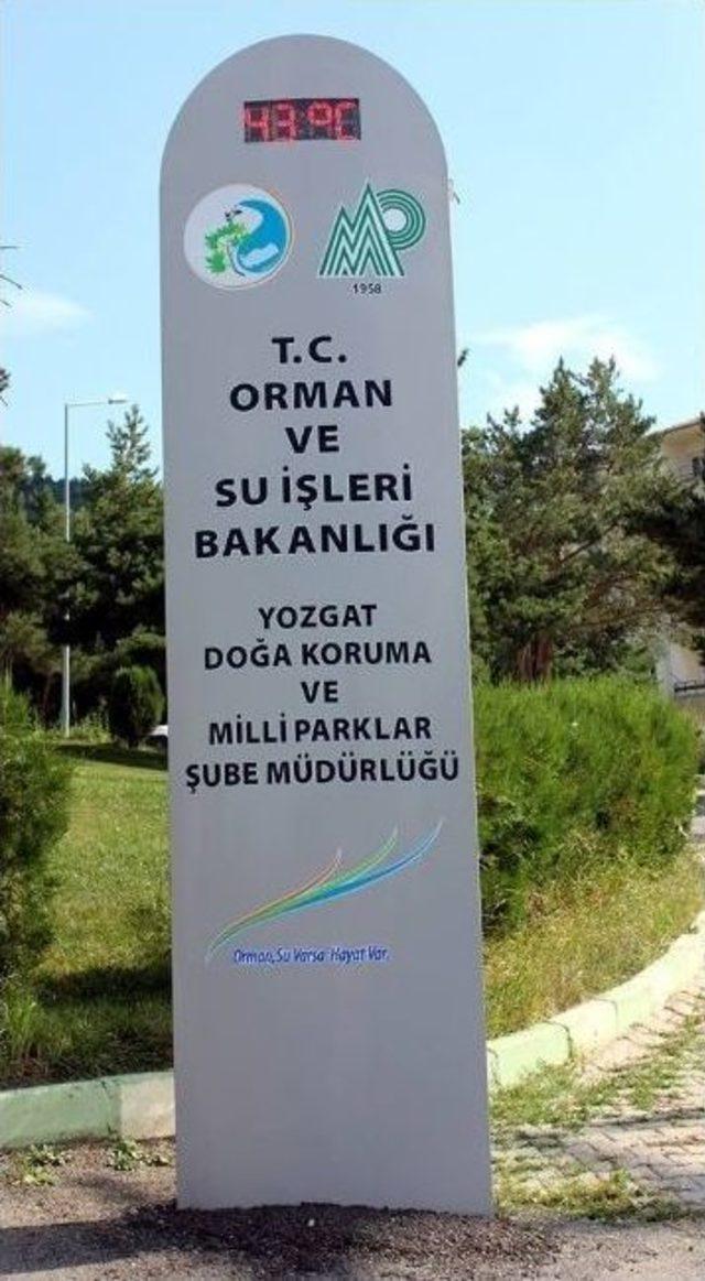 Yozgat Sıcaktan Kavruluyor