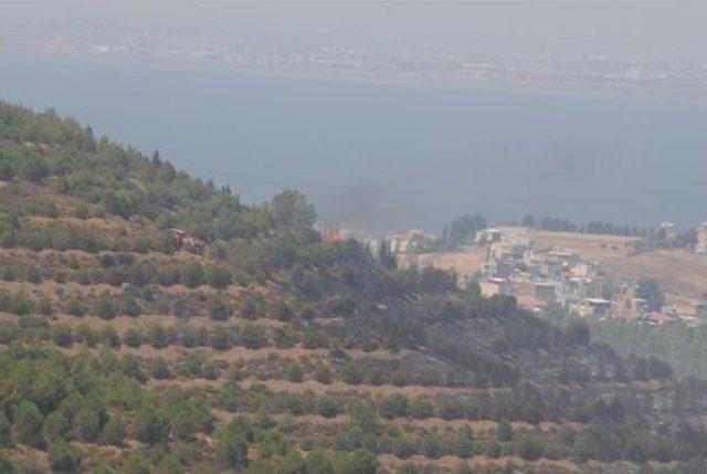 İzmir'de Orman Yangını (2) - Yeniden