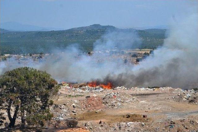 Ayvalık’ta Çöplük Yangını Az Daha Hatıra Ormanını Yok Ediyordu