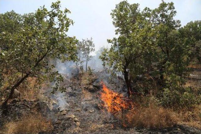 Cudi Dağı'nda Geçici Güvenlik Bölgesindeki Yangını Söndürmek Için Vatandaşlar Seferber Oldu