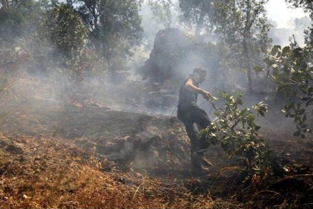 Cudi Dağı'nda Geçici Güvenlik Bölgesindeki Yangını Söndürmek Için Vatandaşlar Seferber Oldu