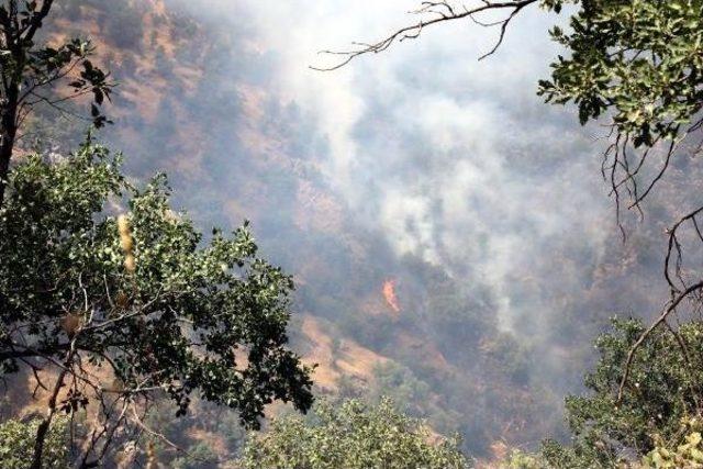 Cudi Dağı'nda Geçici Güvenlik Bölgesindeki Yangını Söndürmek Için Vatandaşlar Seferber Oldu