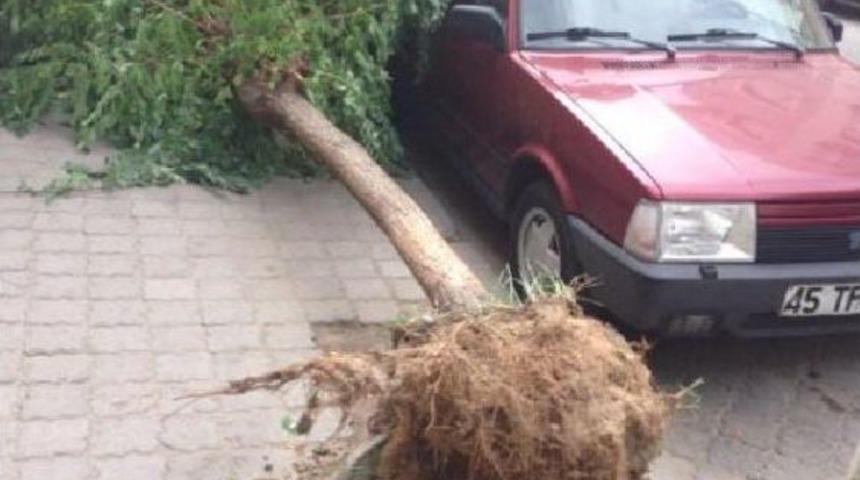 Turgutlu'da Şiddetli R&uuml;zgar Hayatı Olumsuz Etkiliyor