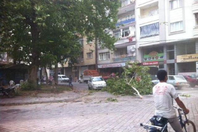 Turgutlu'da Şiddetli Rüzgar Hayatı Olumsuz Etkiliyor