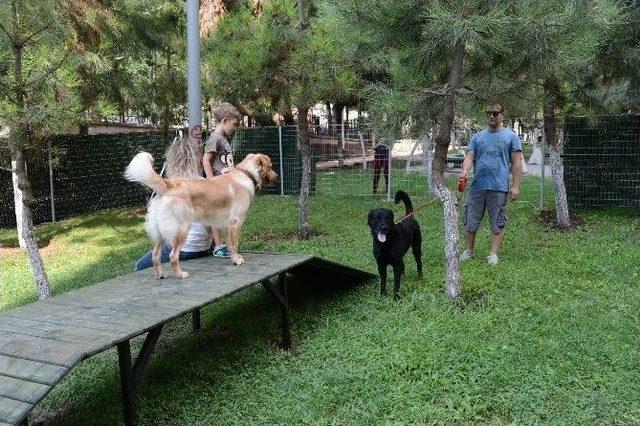 Beylikdüzü Belediyesi’nden İlçe ’pati Parklar’