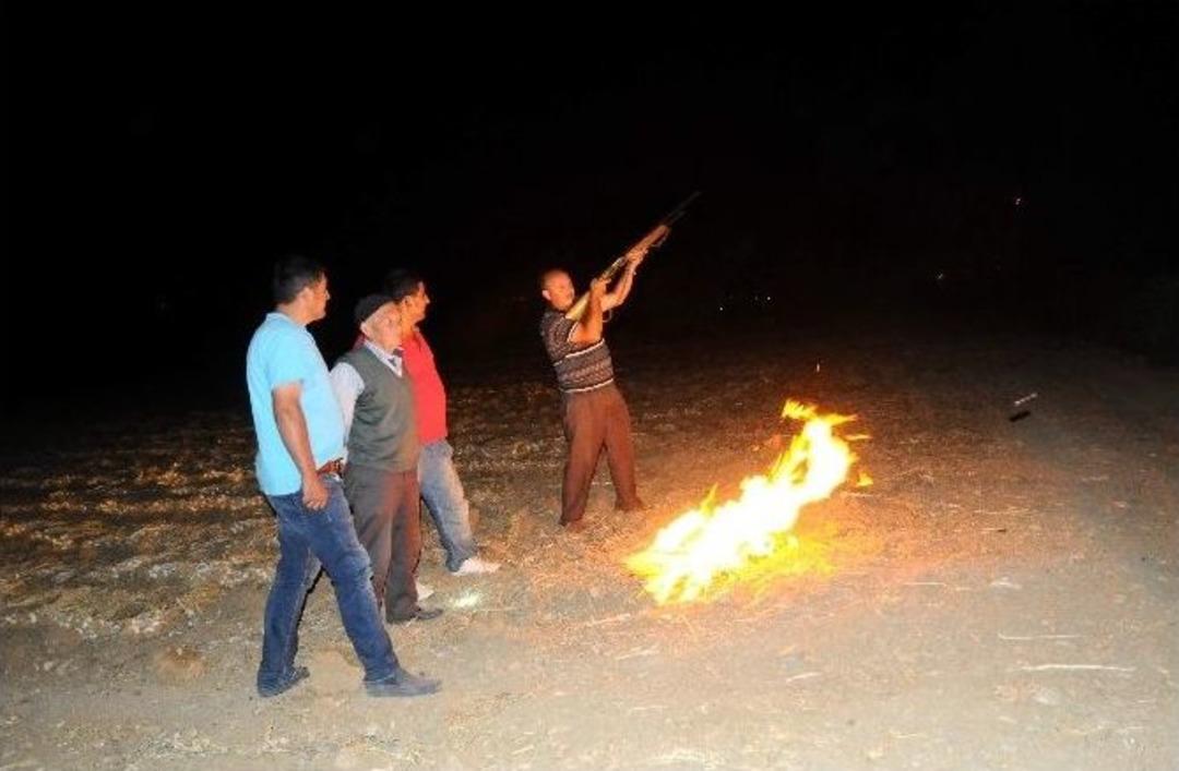 (&ouml;zel Haber) Tarlada T&uuml;fekli Sarımsak N&ouml;beti