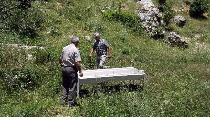 Aşırı Sıcaklarda Yabani Hayvanlar Unutulmadı