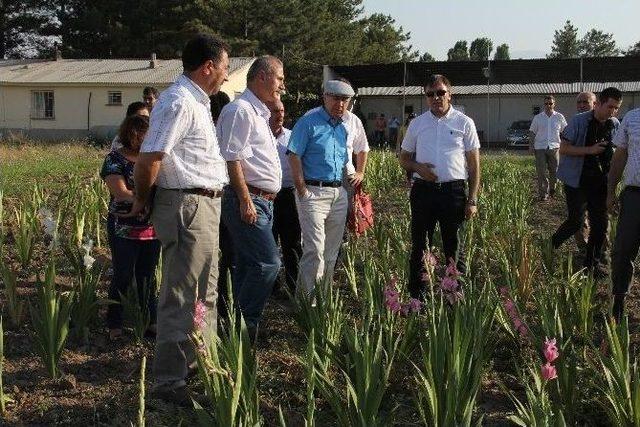 Iğdır’da Tarımsal Nüfus Gençleşiyor Projesi