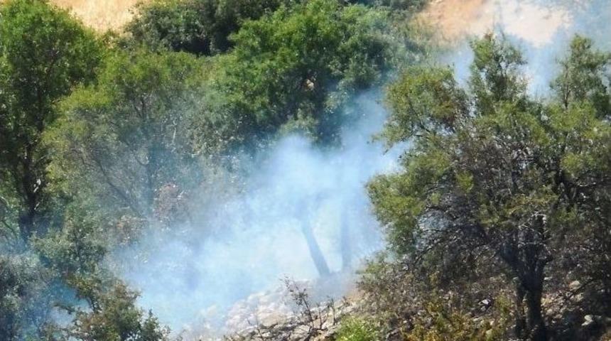 Kahramanmaraş&rsquo;ta Orman Yangını