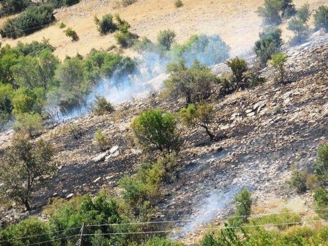 Kahramanmaraş’ta Orman Yangını