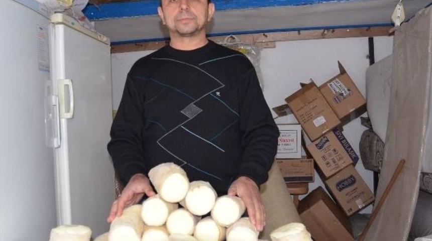 Kargı Tulum Peyniri &Uuml;niversitede Tez Konusu Oldu