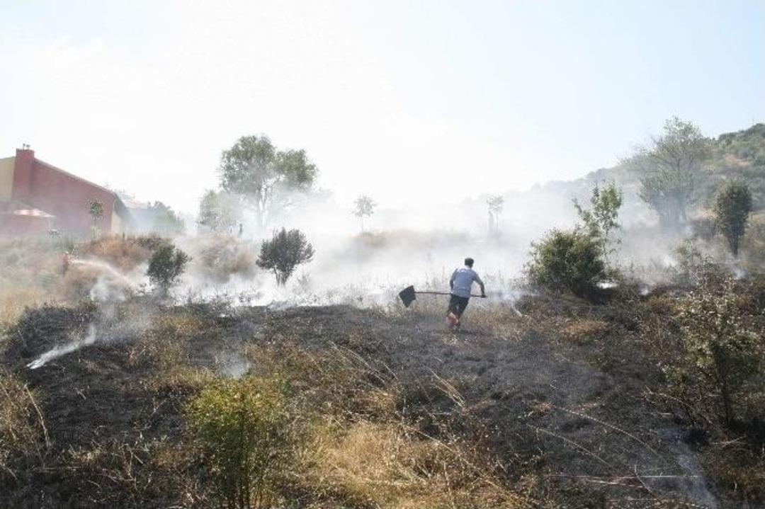 Yozgat Nohutlu Tepesindeki Ot Yangını Korkuttu