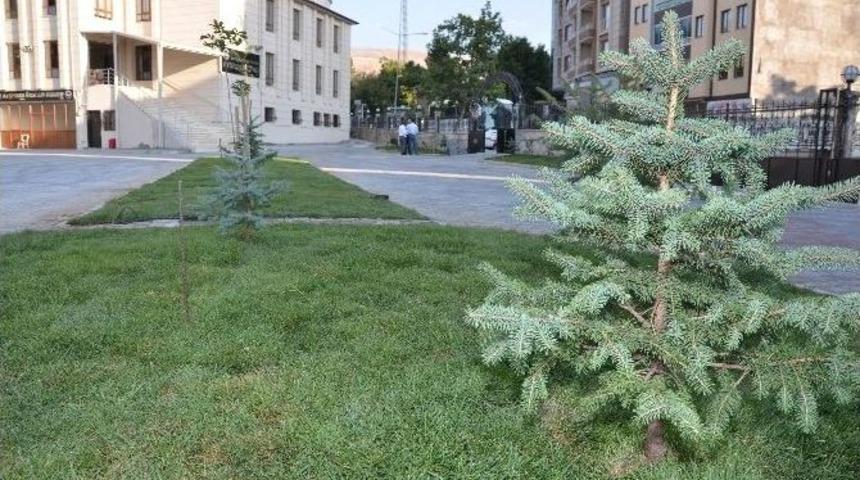 Ayşehan Camisi&rsquo;nde &Ccedil;evre D&uuml;zenlemesi