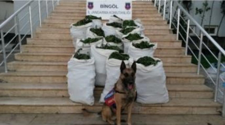 Bing&ouml;l&rsquo;de Uyuşturucu Operasyonu