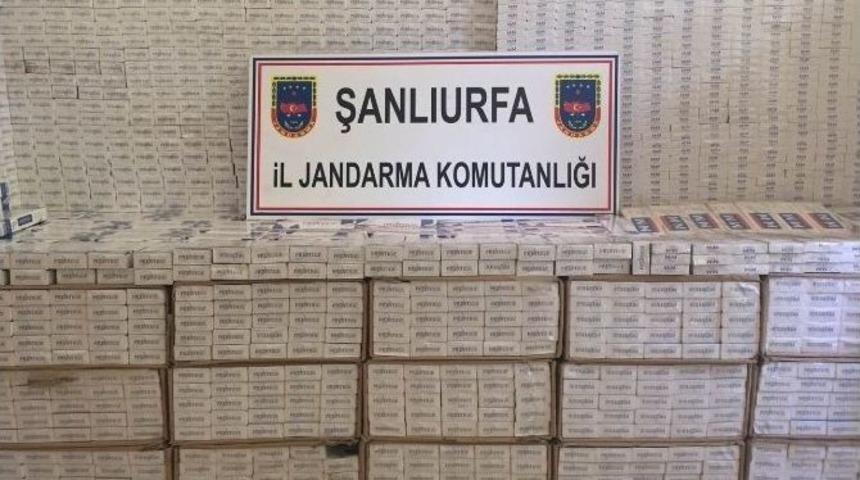 Tır’da 35 Bin Paket Kaçak Sigara Ele Geçirildi