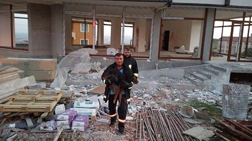 &Ccedil;atıda Mahsur Kalan K&ouml;peği İtfaiye Kurtardı