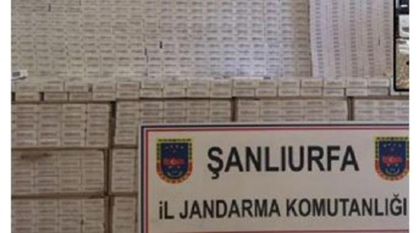 Tır'da 35 Bin Paket G&uuml;mr&uuml;k Ka&ccedil;ağı Sigara Ele Ge&ccedil;irildi