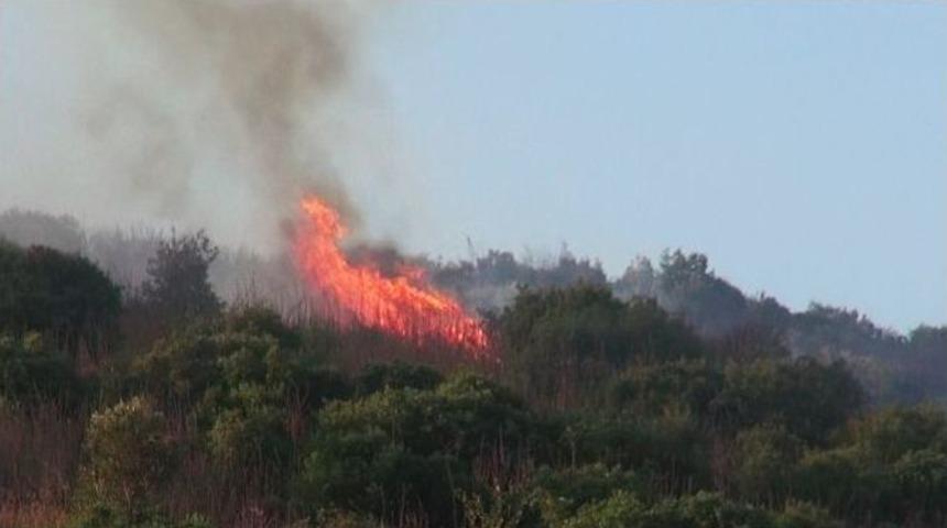 Kocaeli&rsquo;deki Orman Yangını S&ouml;nd&uuml;r&uuml;ld&uuml;