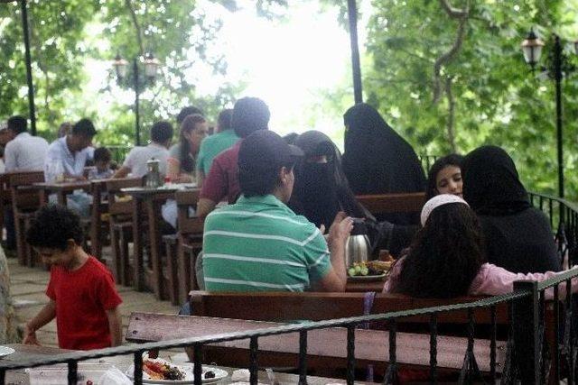 (özel Haber) 6 Asırlık Çınara Arap Turist Akını