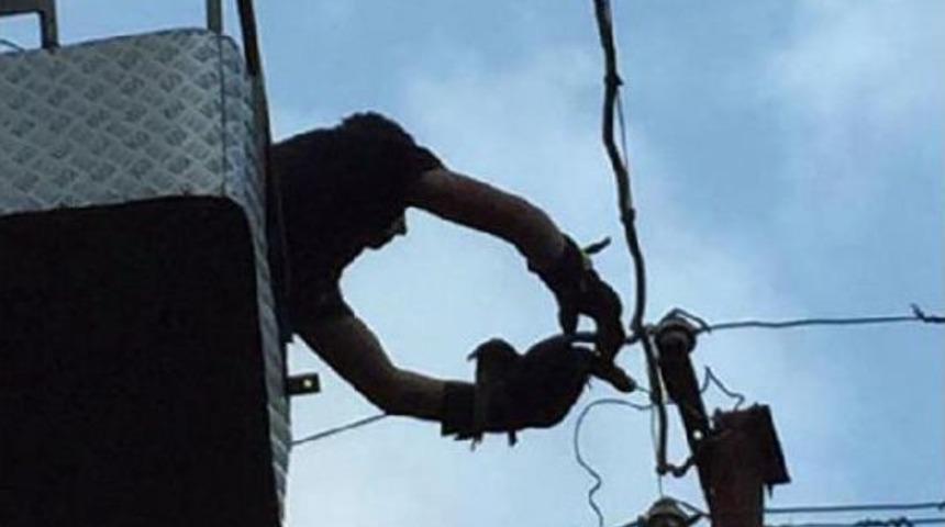 Elektrik Tellerine Takılan G&uuml;vencini Itfaiye Kurtardı