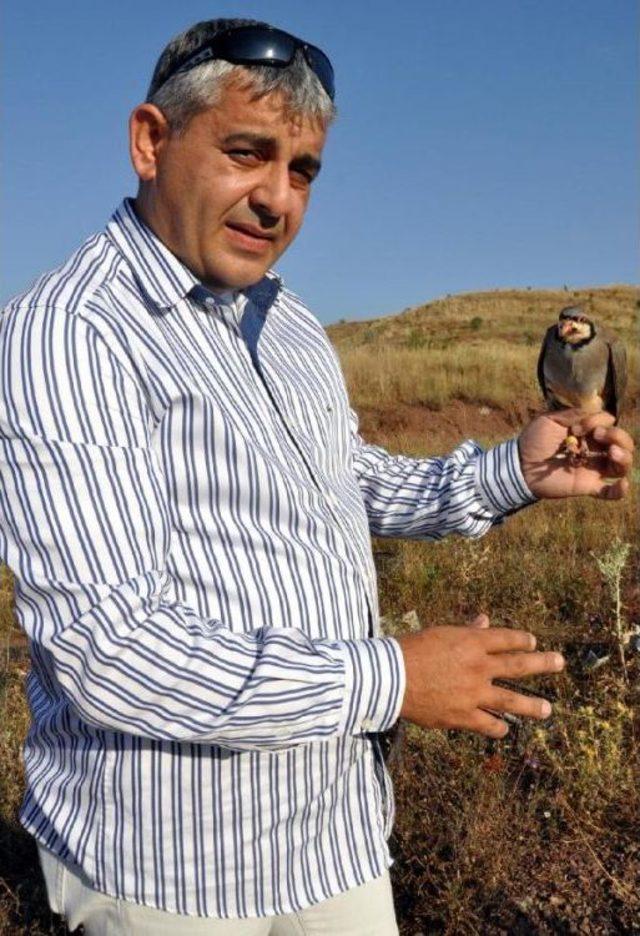 Muhsin Yazıcıoğlu Anısına Doğaya '2009' Keklik Bıraktı