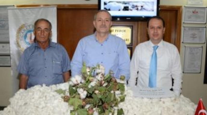 Pamukta &Uuml;retim Artışı Zamma Bağlı