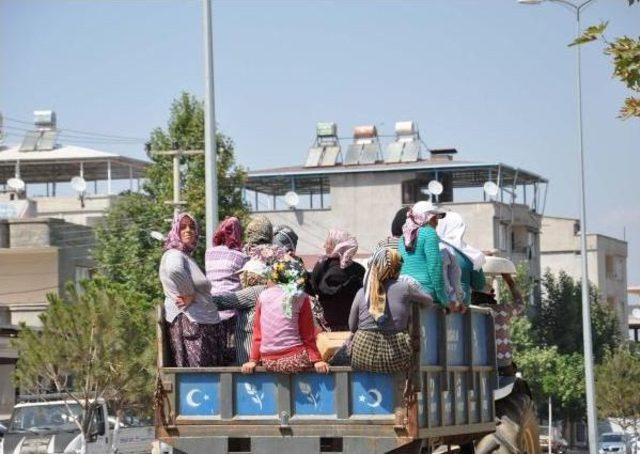 İslahiye’De Tarım Işçilerinin Tehlikeli Yolculuğu