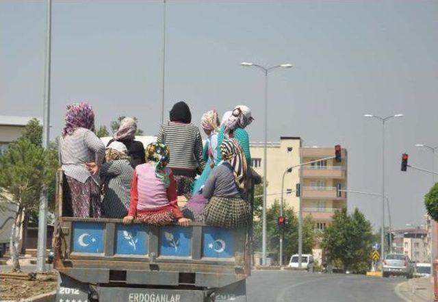 İslahiye’De Tarım Işçilerinin Tehlikeli Yolculuğu