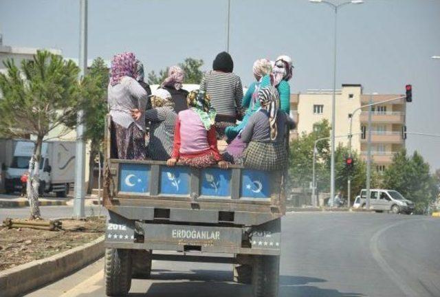 İslahiye’De Tarım Işçilerinin Tehlikeli Yolculuğu