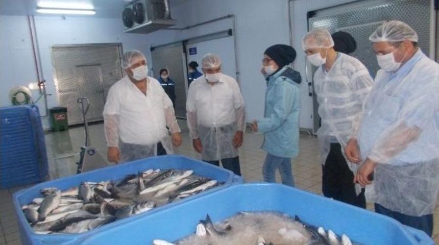 Tika&rsquo;dan Azerbaycan&rsquo;a Tarım Ve Hayvancılık Alanında Uzman Desteği