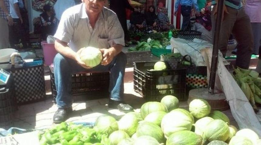 Kavun Pazarı Kurulmaya Başlandı