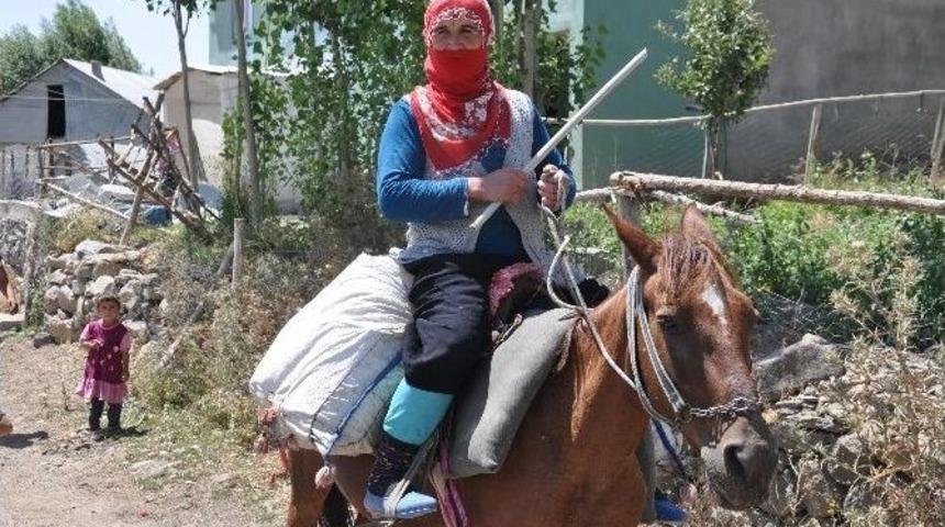 Muş&rsquo;ta Kadınlar At Sırtında Beriye Gidiyor