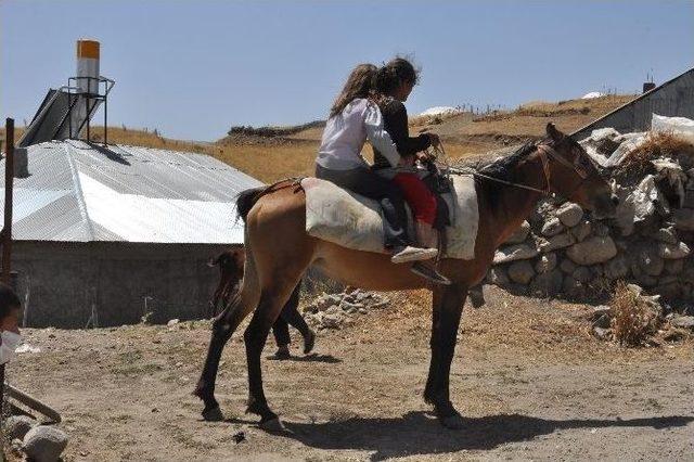 Muş&rsquo;ta Kadınlar At Sırtında Beriye Gidiyor 1