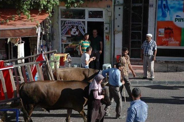 Küre 5. Kilim Festivali