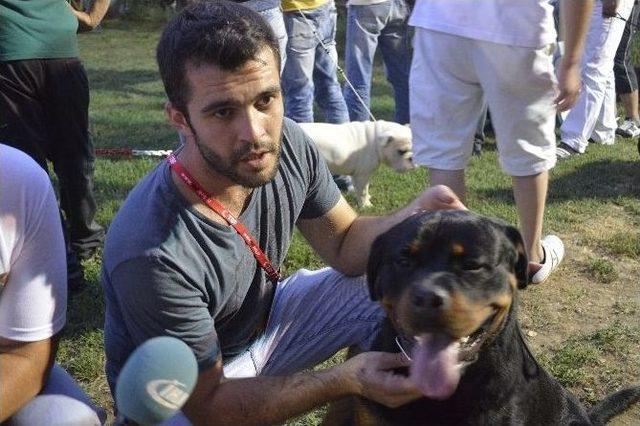 Mükemmel Köpekler Bursa’da Seçildi