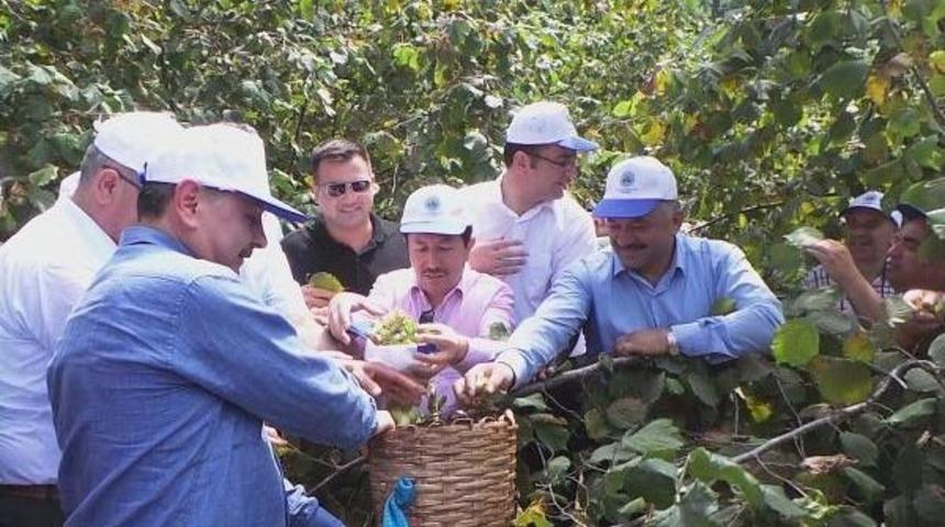 Ordu Valisi: Millet Bunları T&uuml;k&uuml;r&uuml;ğ&uuml;yle Boğar