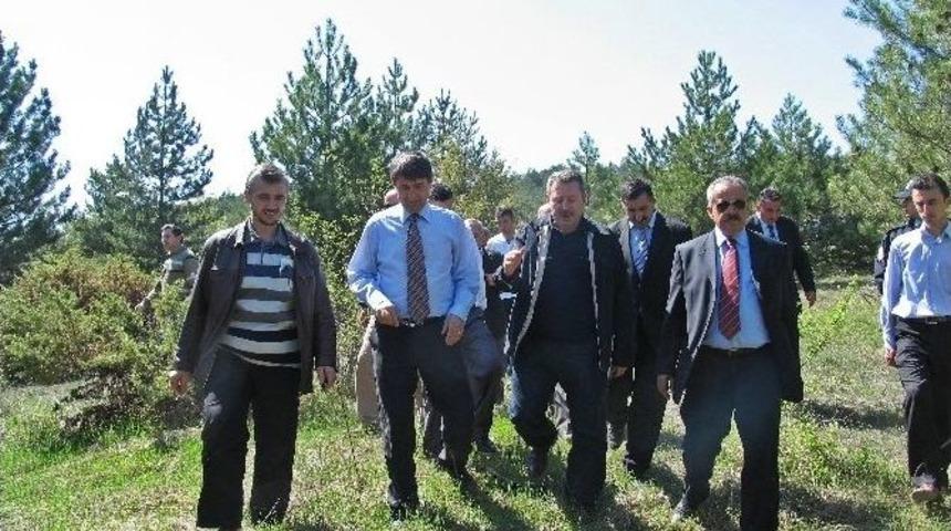 Ara&ccedil;&rsquo;a A&ccedil;ık Cezaevi Yapılacak