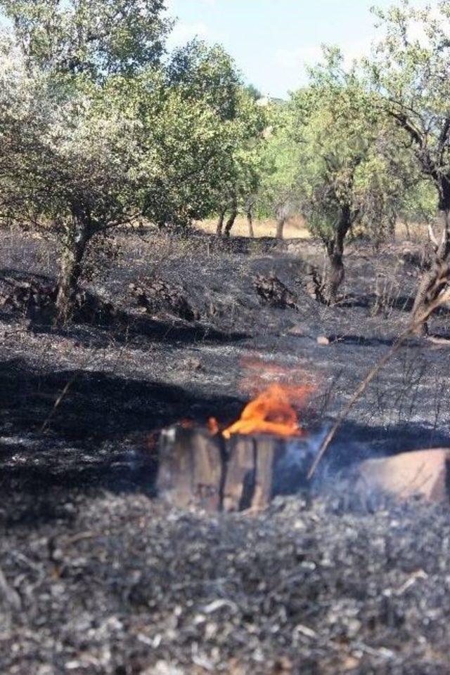 Anız Yangını İtfaiyenin M&uuml;dahalesi İle B&uuml;y&uuml;meden S&ouml;nd&uuml;r&uuml;ld&uuml; 1