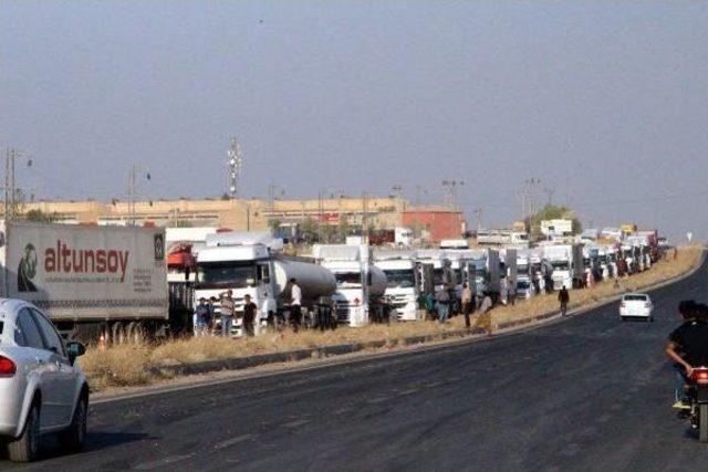 Pkk Yandaşları Nusaybin'de İpek Yolunu Kesti