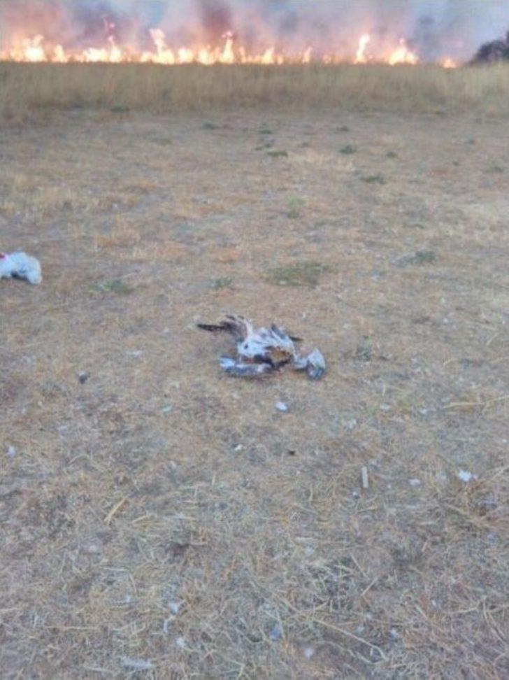 Çarpanak Adası’nda Yangın G2