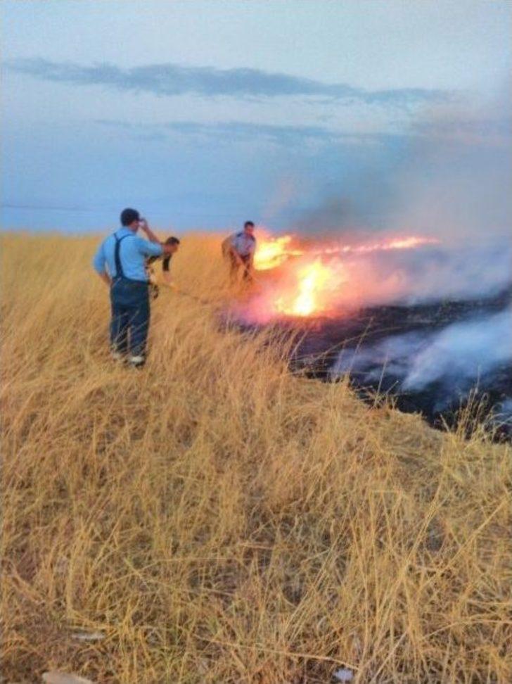 Çarpanak Adası’nda Yangın G5