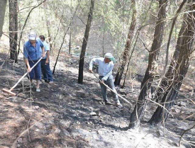 Muğla’daki Yangına İlk Müdahale Vatandaşlardan