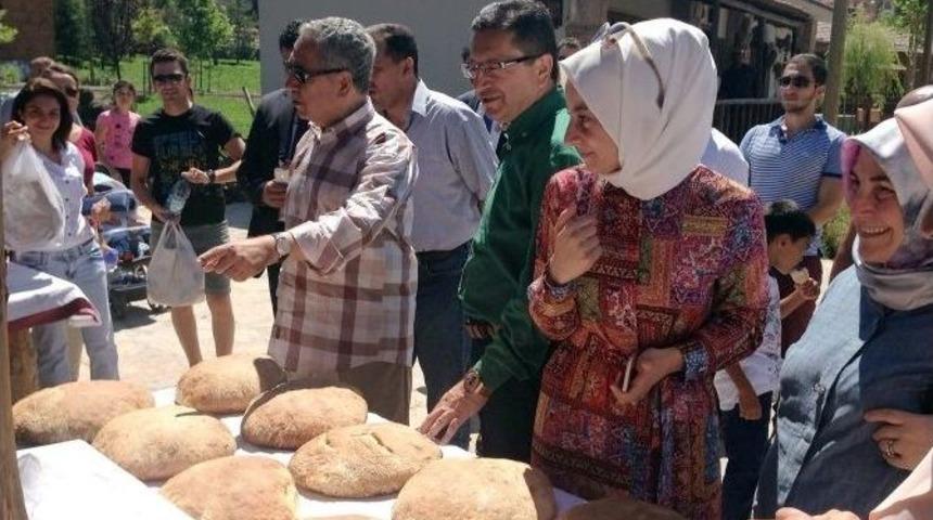 Başbakan Yardımcı B&uuml;lent Arın&ccedil; Altınk&ouml;y&rsquo;de