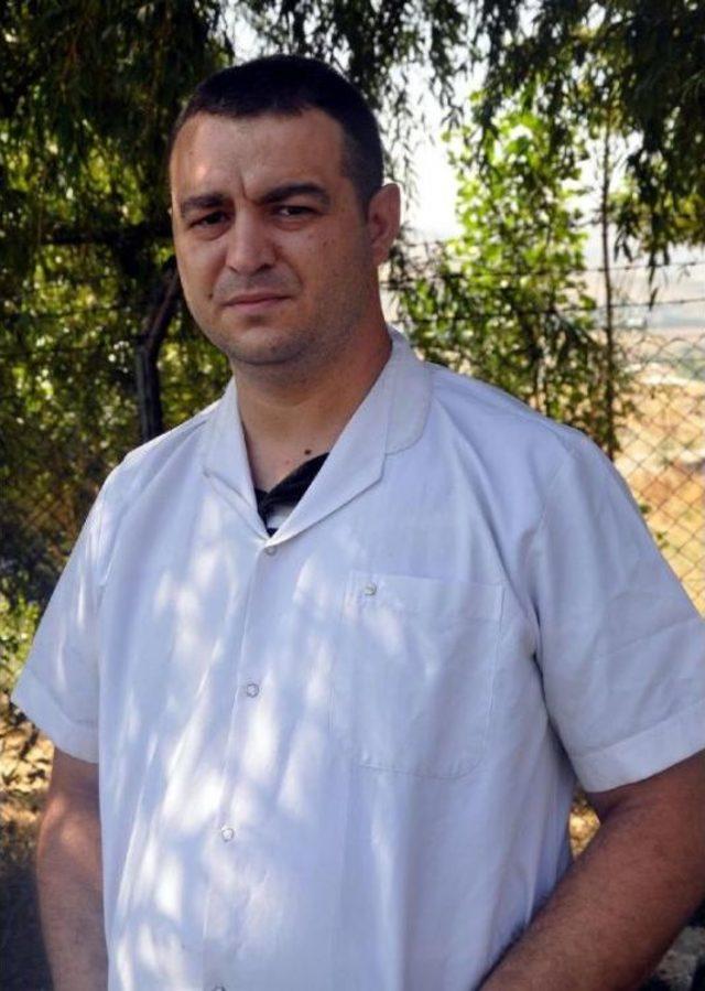 Sivas'ta Silahla Yaralanan Boz Ayı Tedaviye Alındı