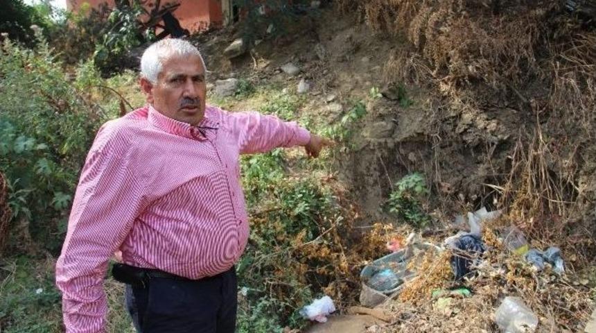 "incirli Baba&rsquo;yı Kurtarın"