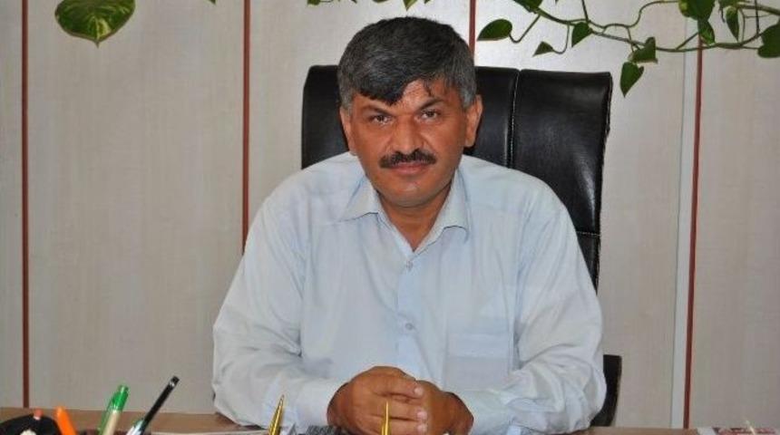 Hasat Zamanı Gelen Yağış &Uuml;reticiyi Mağdur Etti