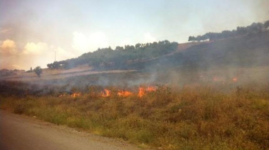 Otluk Alanda Yangın Korkuttu